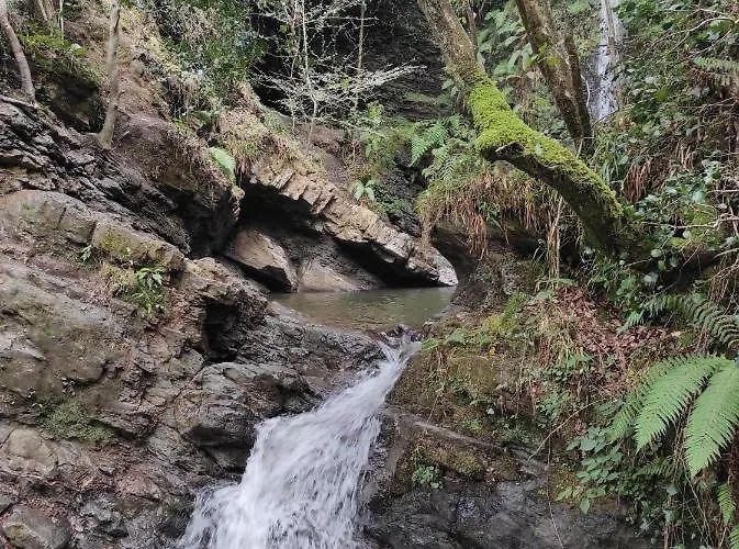 Apartamento La Casa Solariega *